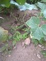 2011-10-06 Camera10_06